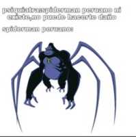 Free download Spiderman peruano [ Meme ] free photo or picture to be edited with GIMP online image editor